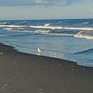 Meet your Posher, Jayne